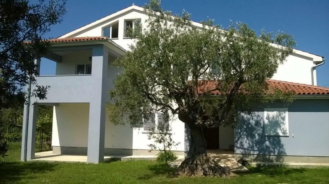 Apartments Villa Ulivo - Apartment Sol Fazana Luaran gambar